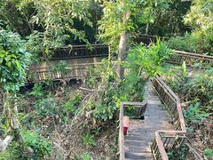-三亚亚龙湾人间天堂鸟巢度假村