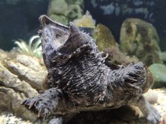 -成都浩海立方海洋公园