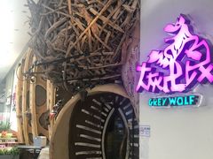 -大灰狼(中心书城店)