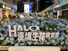 -HALO广场(梨园路店)