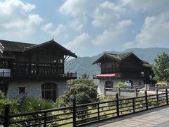 -大唐贡茶院