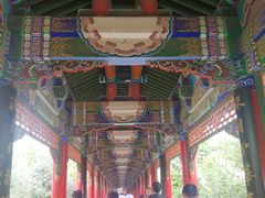 -兰山公园