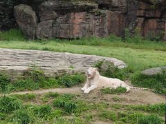 -杭州野生动物世界