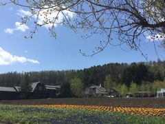 -富田农场