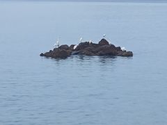 -碧桂园十里银滩