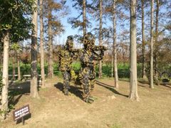 -上海长兴岛郊野公园