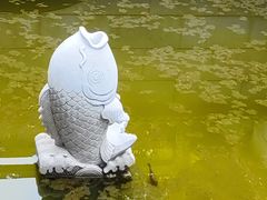 -盘龙寺