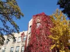 -辽宁大学(崇山校区)