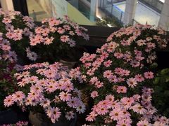 -瓦库茶馆17号(海汇港店)