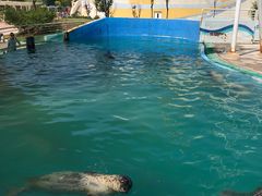 -北戴河圣蓝海洋公园