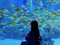 -海合安成都极地海洋公园