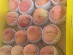 -老袁家蜜桃农场·阳山水蜜桃