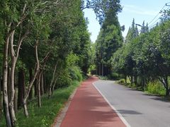 -上海长兴岛郊野公园