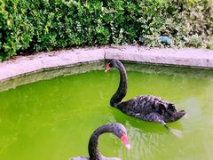 -行者书屋大堂吧 ·下午茶(南京圣和府邸酒店)