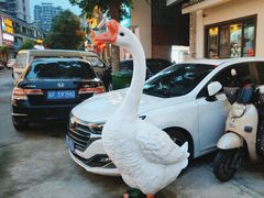 -巢湖名吃·东关老鹅汤(江南风情街店)