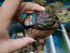 -港畔赶海蒸汽海鲜烧烤自助(仙螺岛店)