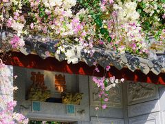 -深圳国际园林花卉博览园