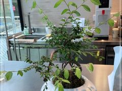 -北芒BEIMO COFFEE(五台山店)