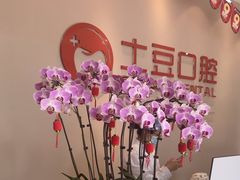 -土豆口腔(凤凰北总店)