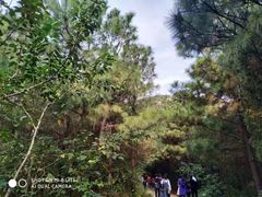-嵖岈山风景区