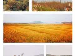 -苏州吴中太湖旅游区