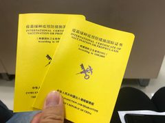 -上海国际旅行卫生保健中心(浦东分中心)