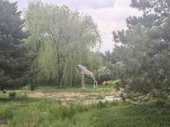 -黑龙江省森林植物园