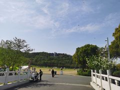 -羊山湖公园