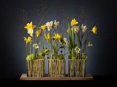 -荷兰布尔玛国际花艺学院