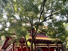 -南岳大庙