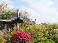 -海珠湖公园