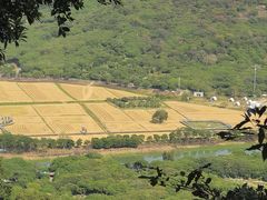 -风云岭森林公园