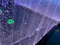 -水濂山乐民游艺园