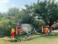 -广州长隆飞鸟乐园