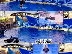 -上海海昌海洋公园