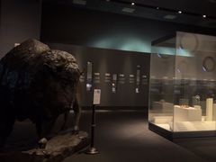 -布洛克德克萨斯国家历史博物馆