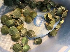 -山东嘉汇文化用品有限公司张店凤凰国际分公司(新村西路店)