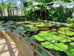 -国家植物园南园