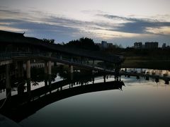-眉山湿地公园(东坡区)