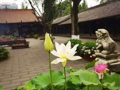 -什邡罗汉寺