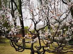 -元大都城垣遗址公园