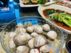 白蚬子-鲜鲜·鲅鱼圈海鲜(于洪店)