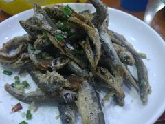 -全乐鱼馆·淳牌有机鱼直营店