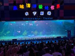 -泉城欧乐堡海洋极地世界