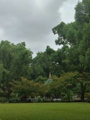 -丁香花园申粤轩·宴会厅