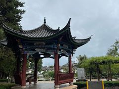 -黑龙潭公园