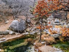 -沂蒙山旅游区云蒙景区(蒙山国家森林公园)