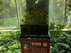 -南宫五洲植物乐园
