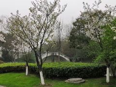 -尚贤河湿地