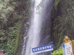 -莫里热带雨林景区